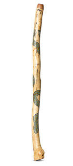 Heartland Didgeridoo (HD562)